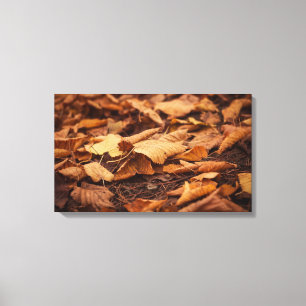 Herbstblätter Leinwanddruck