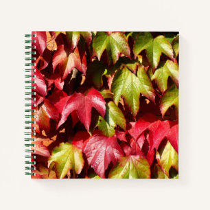 Herbstblätter Notizbuch