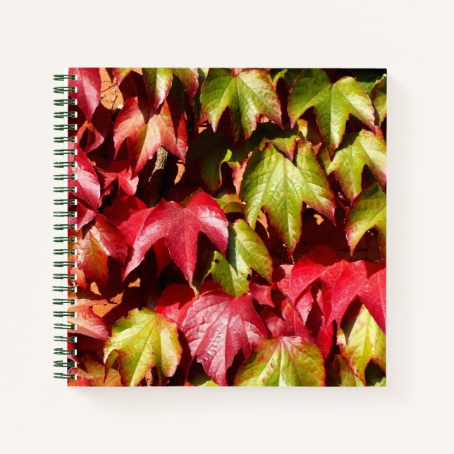 Herbstblätter Notizbuch (Vorderseite)