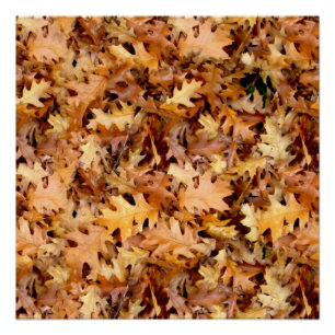 HERBSTBLÄTTER POSTER