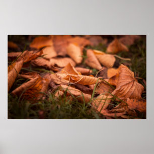 Herbstblätter Poster