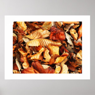 Herbstblätter Poster