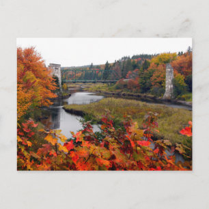 Herbstblätter Postkarte