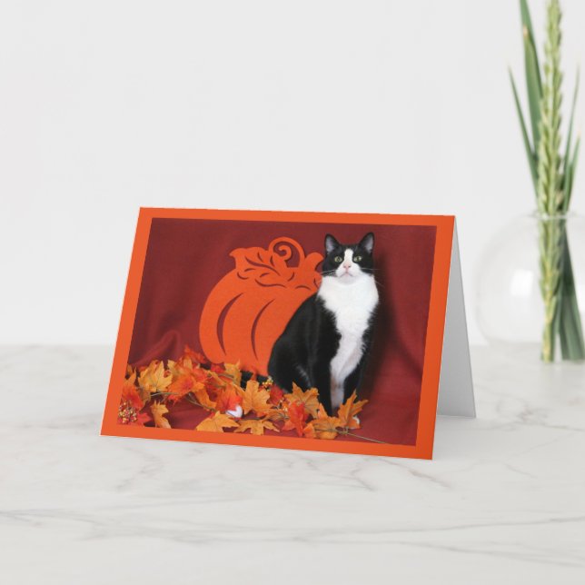 Herbstblätter, Pumpkin und Tuxedo Cat Feiertagskarte (Vorderseite)