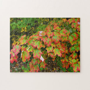 Herbstblätter Puzzle
