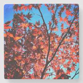 Herbstblätter Steinuntersetzer