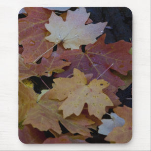 Herbstblätter überall mousepad