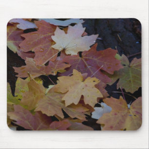 Herbstblätter überall mousepad