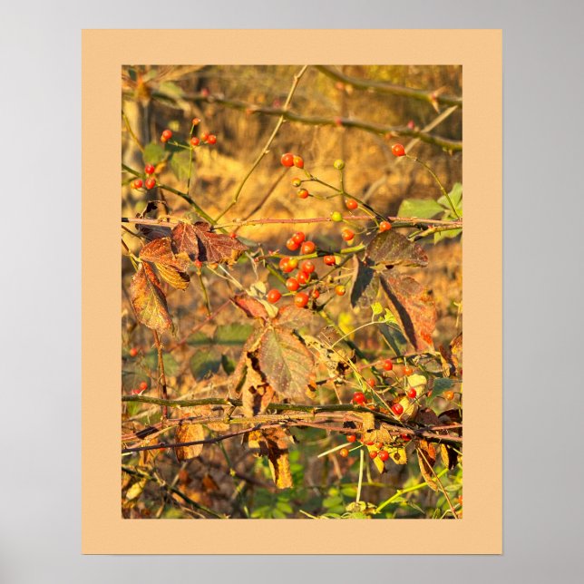 Herbstblätter und Berries Poster (Vorne)