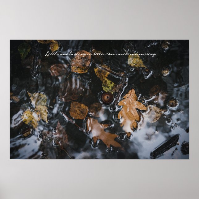 Herbstblätter und Eichen in geheimnisvollen Gewäss Poster (Vorne)