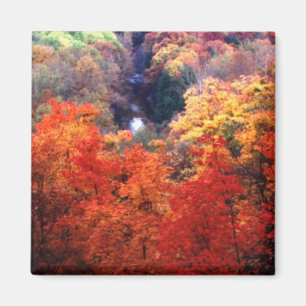 Herbstblätter wechseln die Farbe Magnet