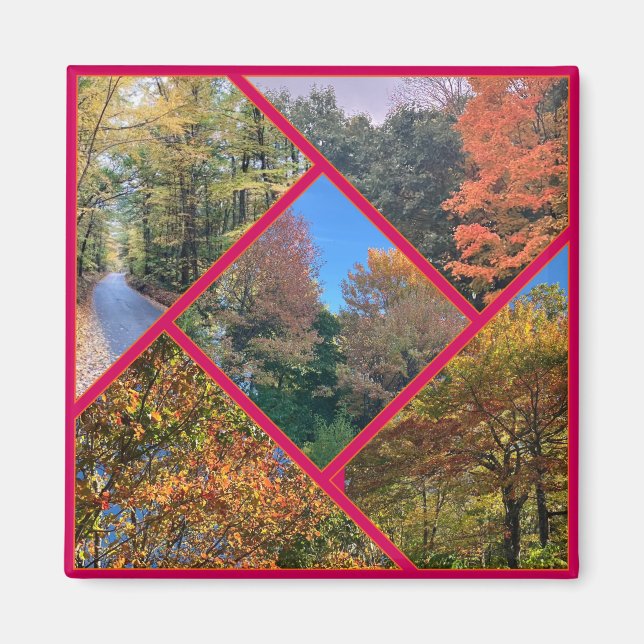 Herbstblätterkollektion Magnet (Vorne)