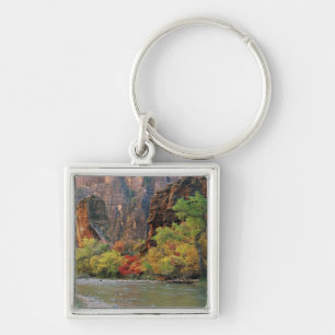 Herbstblätterung entlang der Jungfrau bei Tor Schlüsselanhänger