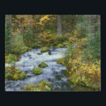 Herbstblätterung und Douglas Fir Border Roaring Ri Puzzle<br><div class="desc">USA,  Oregon,  Willamette National Forest,  Herbst Blätter und Douglas Tanne Grenze Roaring River. | DanitaDelimont.com | John Barger | US38 JBA0082</div>