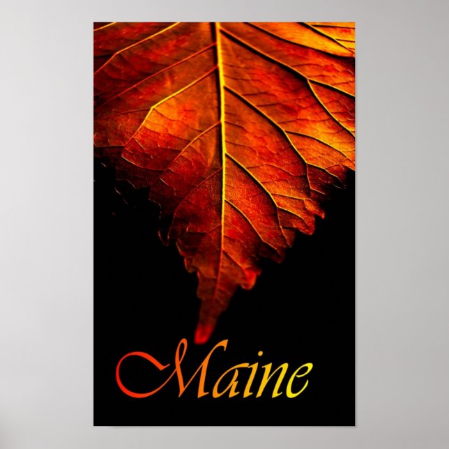 Herbstblattposter | Herbstblattposter Poster (Vorne)