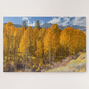 Herbstblättrige Aspen Forest Puzzle