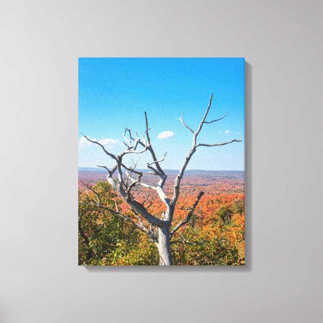 Herbstblick auf dem Mount Bohemia Leinwanddruck (Vorderseite)