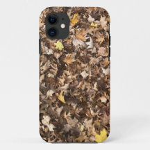 Herbstbraun Blätter Sammlung