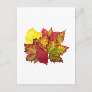 Herbstbrocken Postkarte