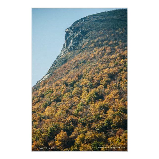 Herbstdecke Poster (Vorderseite)