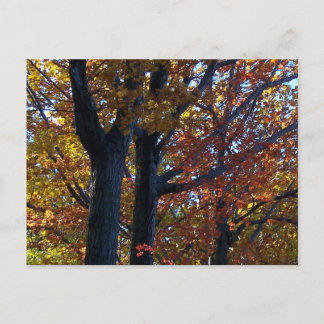 Herbstdelikt Postkarte