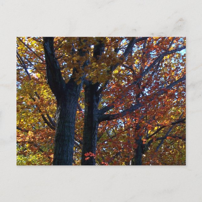 Herbstdelikt Postkarte (Vorderseite)