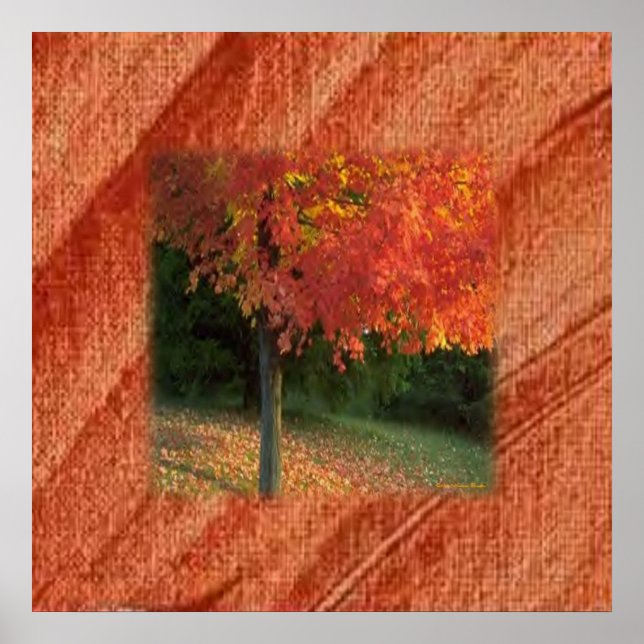 Herbstdrucker Poster (Vorne)