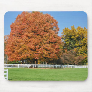 Herbsteiche Mousepad
