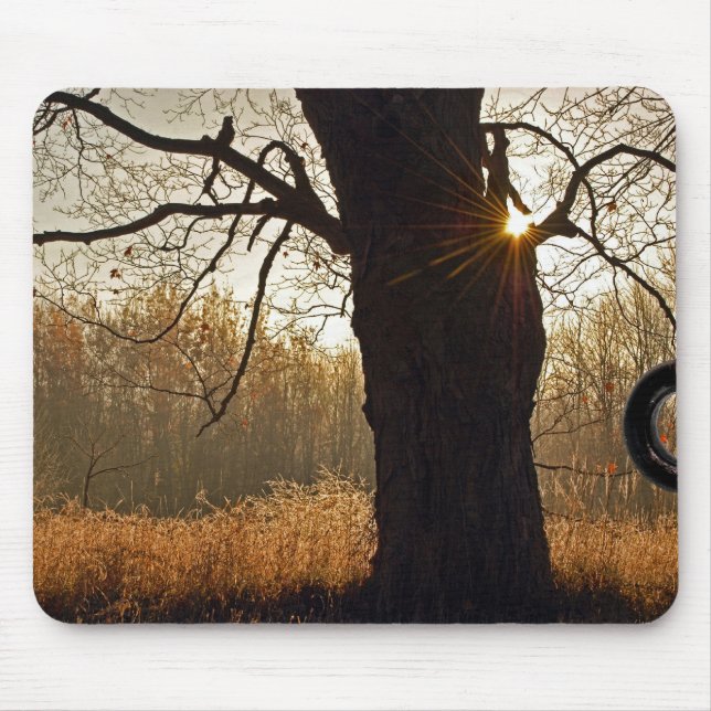 Herbsteiche Mousepad (Vorne)