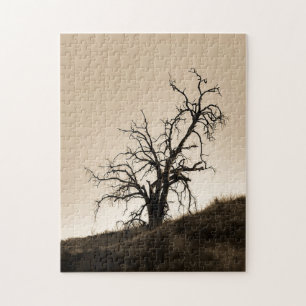 Herbsteiche Puzzle