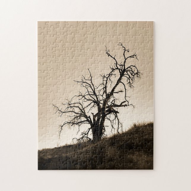 Herbsteiche Puzzle (Vertikal)