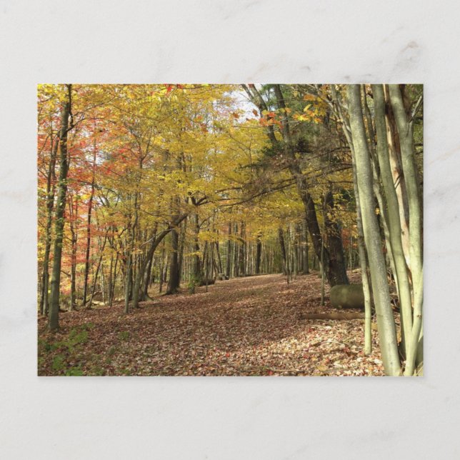 Herbsternte Erntedank Postkarte (Vorderseite)