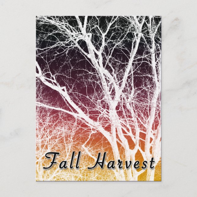 Herbsternte: Geisterbaum Postkarte (Vorderseite)
