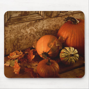 Herbsternte/ Pumpkins und Gourds an der Tür Mousepad