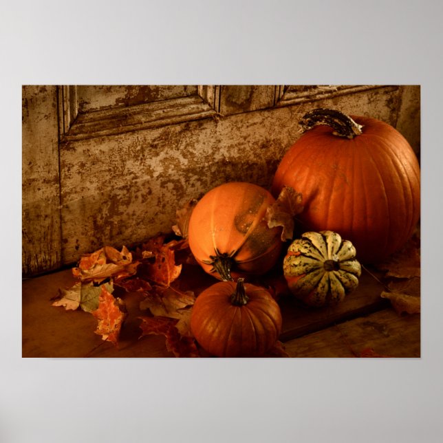 Herbsternte/ Pumpkins und Gourds an der Tür Poster (Vorne)