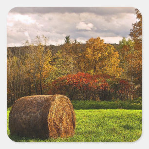 Herbsternte Quadratischer Aufkleber