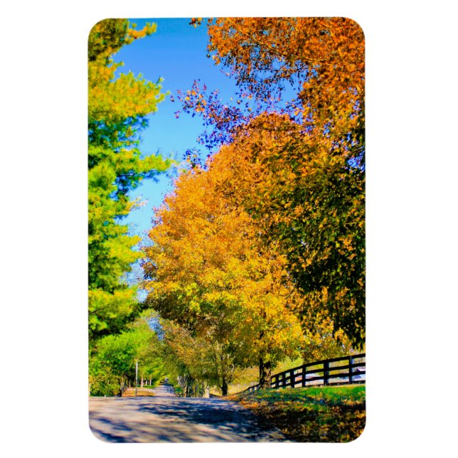 Herbstfahrt im Land Magnet (Vertikal)