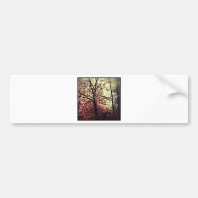 Herbstfall-Baum-Silhouetten Autoaufkleber (Vorne)
