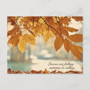 Herbstfallende Leaf-Landschaft Feiertagspostkarte