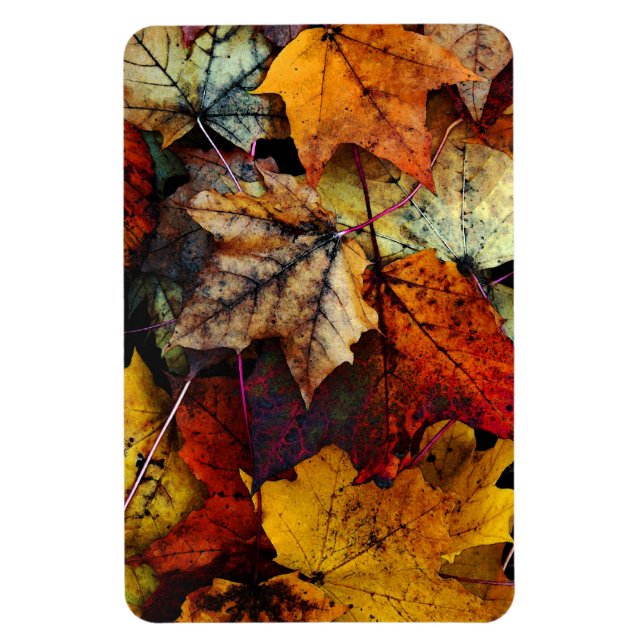 Herbstfallfolien Fotografie-Flexi-Magnet Magnet (Vertikal)