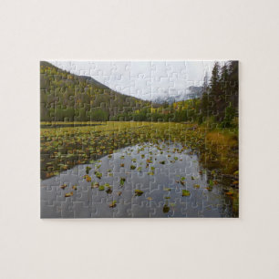 Herbstfarbe am Cub Lake Puzzle