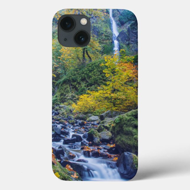 Herbstfarbe am Rande des Sternenbachs Fall 2 Case-Mate iPhone Hülle (Rückseite)