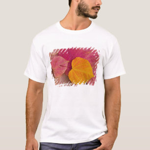 Herbstfarbe auf Forest Pansy Redbud abgefallen T-Shirt
