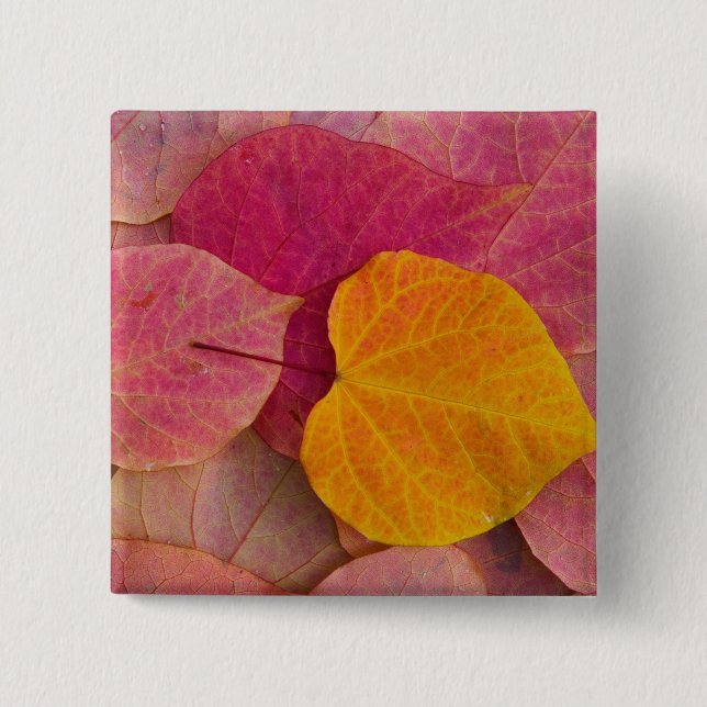 Herbstfarbe des Waldes Pansy Redbud gefallen Button (Vorderseite)