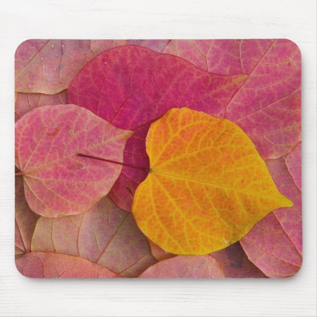 Herbstfarbe des Waldes Pansy Redbud gefallen Mousepad (Vorne)