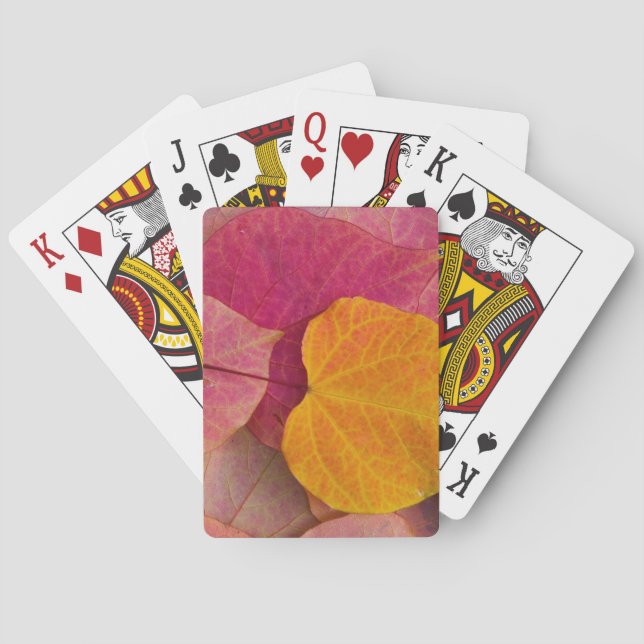 Herbstfarbe des Waldes Pansy Redbud gefallen Spielkarten (Rückseite)