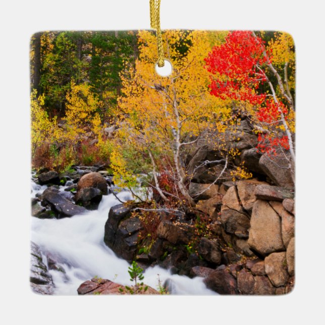 Herbstfarbe entlang Bischof Creek, CA Keramikornament (Vorderseite)