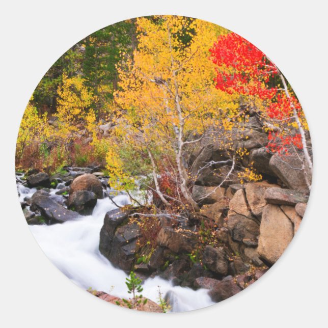 Herbstfarbe entlang Bischof Creek, CA Runder Aufkleber (Vorderseite)