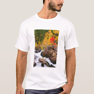 Herbstfarbe entlang Bischof Creek, CA T-Shirt