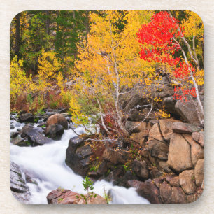 Herbstfarbe entlang Bischof Creek, CA Untersetzer